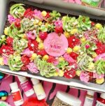 happy-sprinkles-non-pareils-e1654811550180