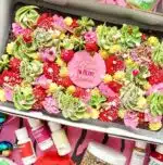 happy-sprinkles-non-pareils-e1654811550180