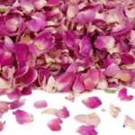 kroonlehed-roos-lilla-18137