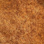 Brandnewcake-Kadayif-1