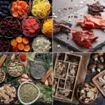 DGHB-Collage-jpg-162742