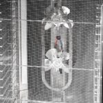 DGSHB-detail-4-162742-2