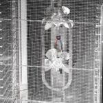 DGSHB-detail-4-162743