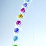 makroonialus-AG08101