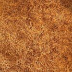 Brandnewcake-Kadayif-1